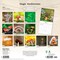 Brush Dance; Magic Mushrooms | 2027 12 x 24 Inch (Hanging) Monthly Square Wall Calendar | Plastic-Free; Category:Wall Calendars; Image:3